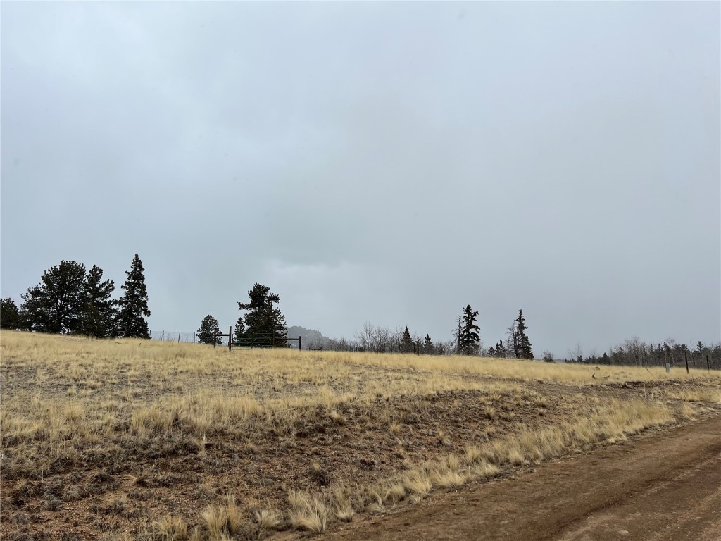 2189 Buffalo Ridge Road Como, CO 80456 - Photo 4 of 10 Gallery Image 4