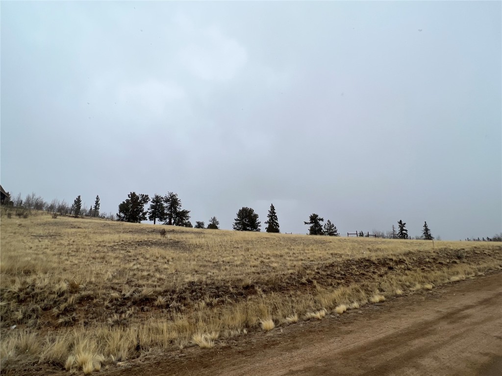 2189 Buffalo Ridge Road Como, CO 80456 - Photo 5 of 10 Gallery Image 5