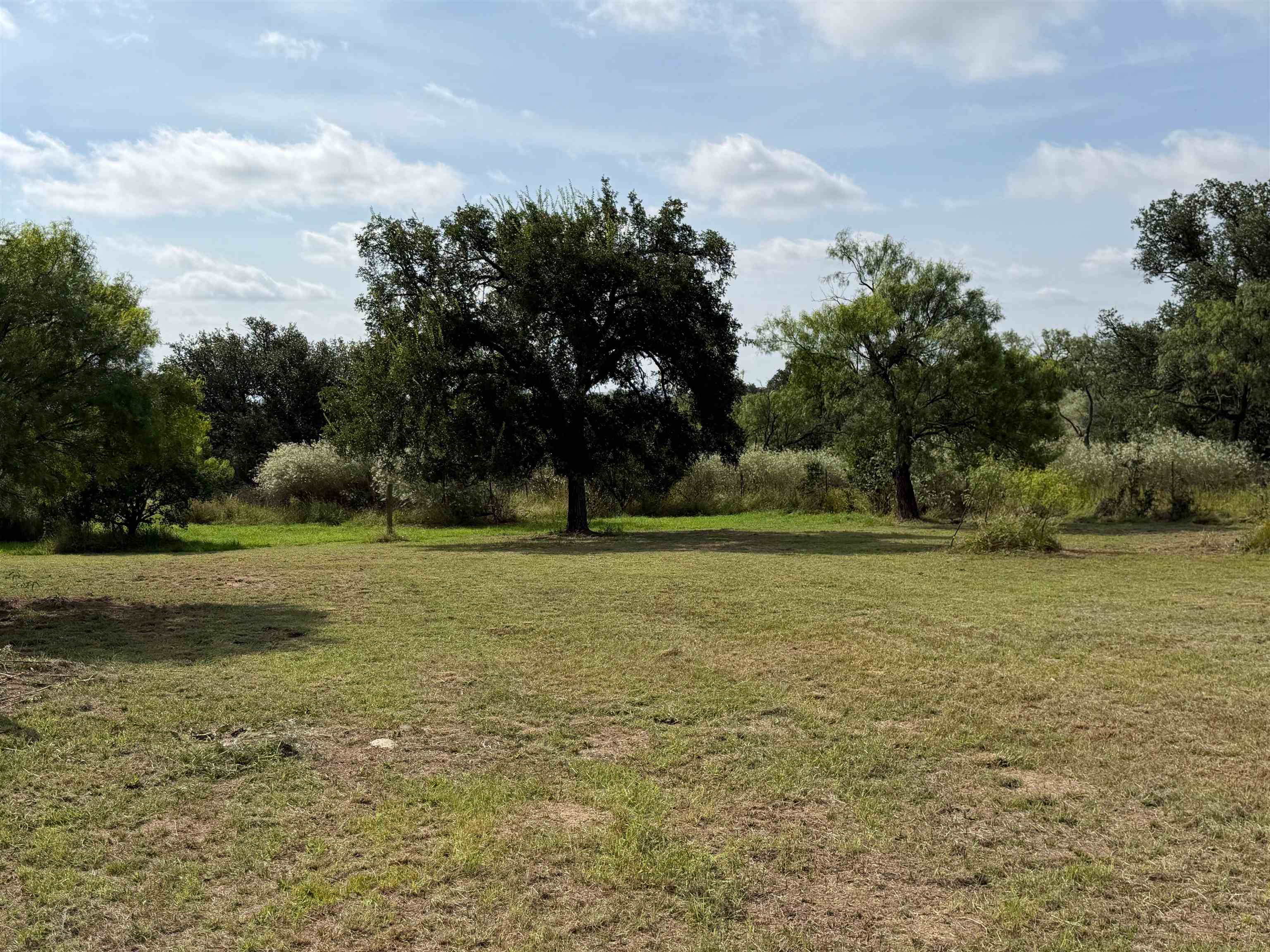 206 Thurman Loop Llano, TX 78643 - Photo 9 of 41