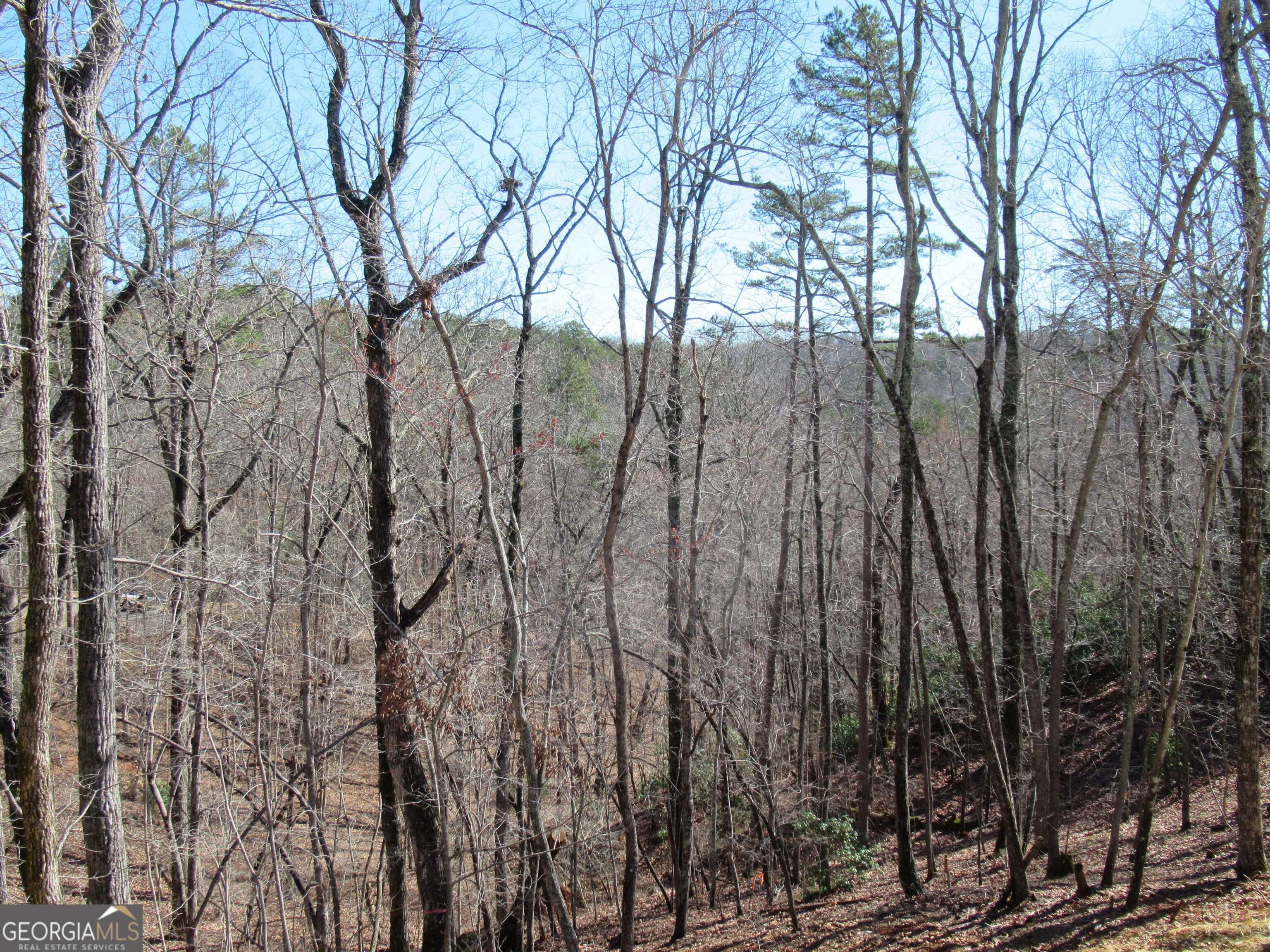 745 Old Kerns Road Dawsonville, GA 30534 - Photo 28 of 29