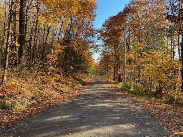 539 Fox Hill Road Bernardston, MA 01337 - Photo 3 of 4 a view of a yard with trees