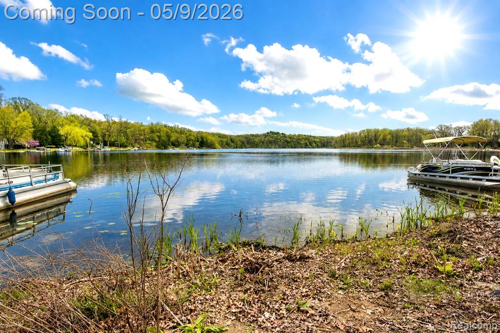 608 Island Lake Road Chelsea, MI 48118 - Photo 4 of 60