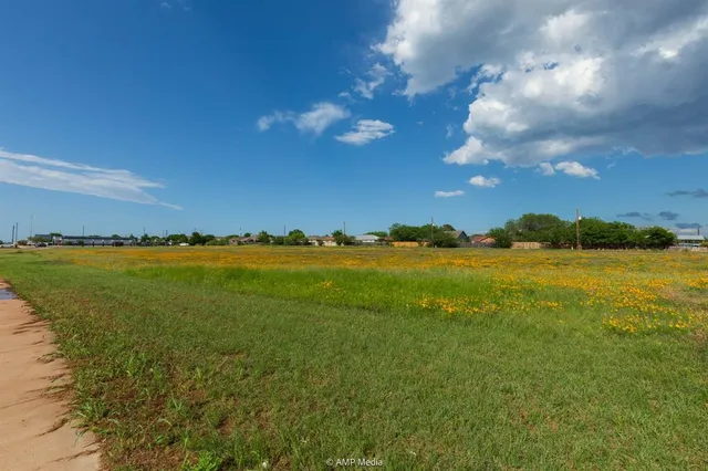 a view of an ocean and a yard