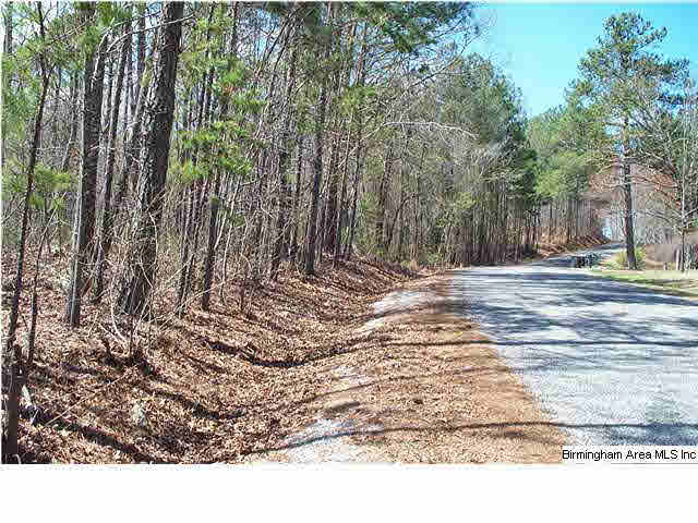 664 Mill Branch Road, Unit 17AC Jacksonville, AL 36265 - Photo 4 of 14
