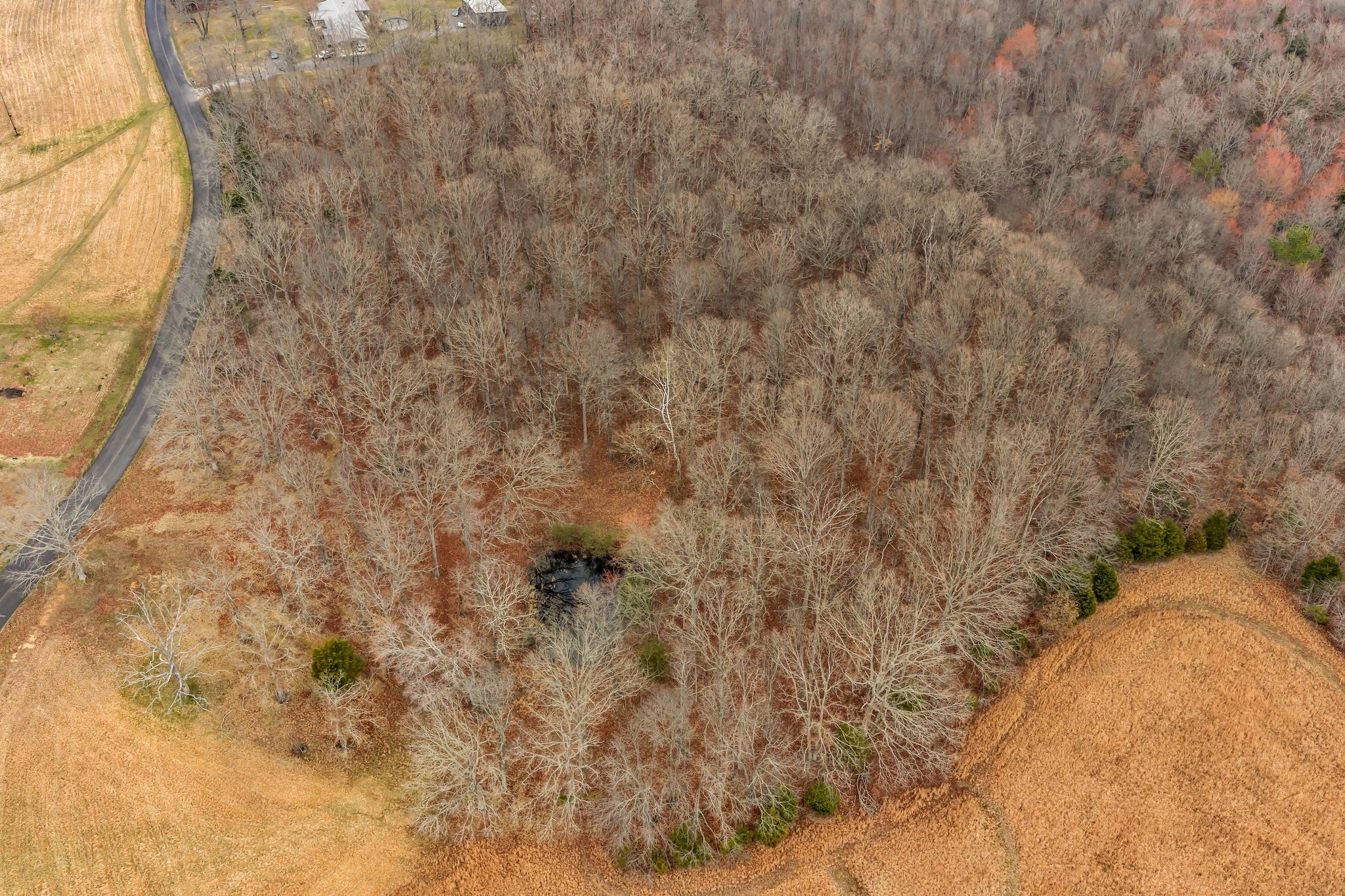 165 Wilson Hollow Road Dickson, TN 37055 - Photo 38 of 45