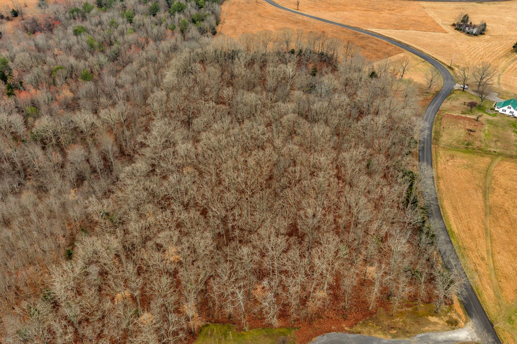 165 Wilson Hollow Road Dickson, TN 37055 - Photo 39 of 45