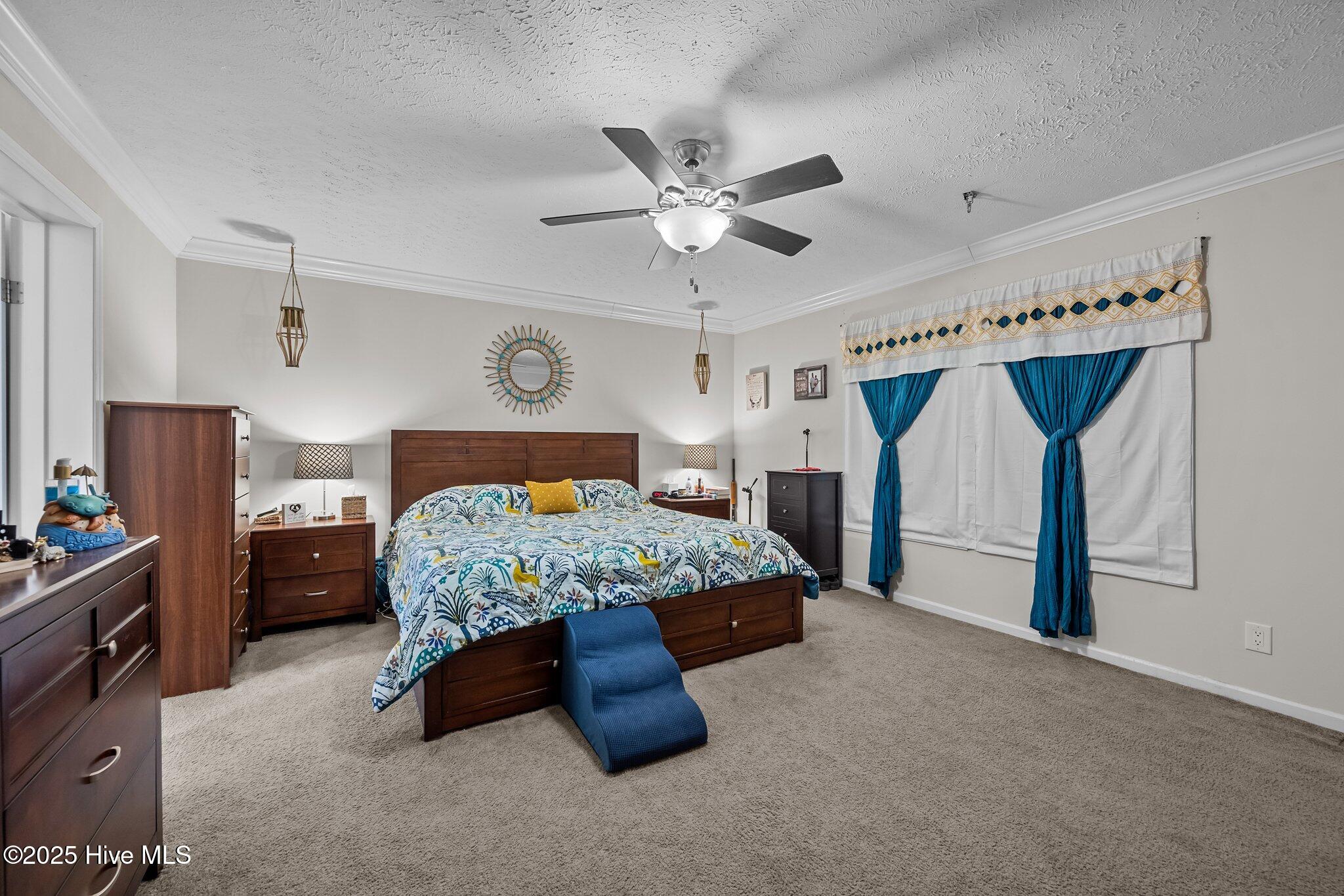 358 Tar Landing Road Holly Ridge, NC 28445 - Photo 19 of 56 6-web-or-mls-_RAD9811