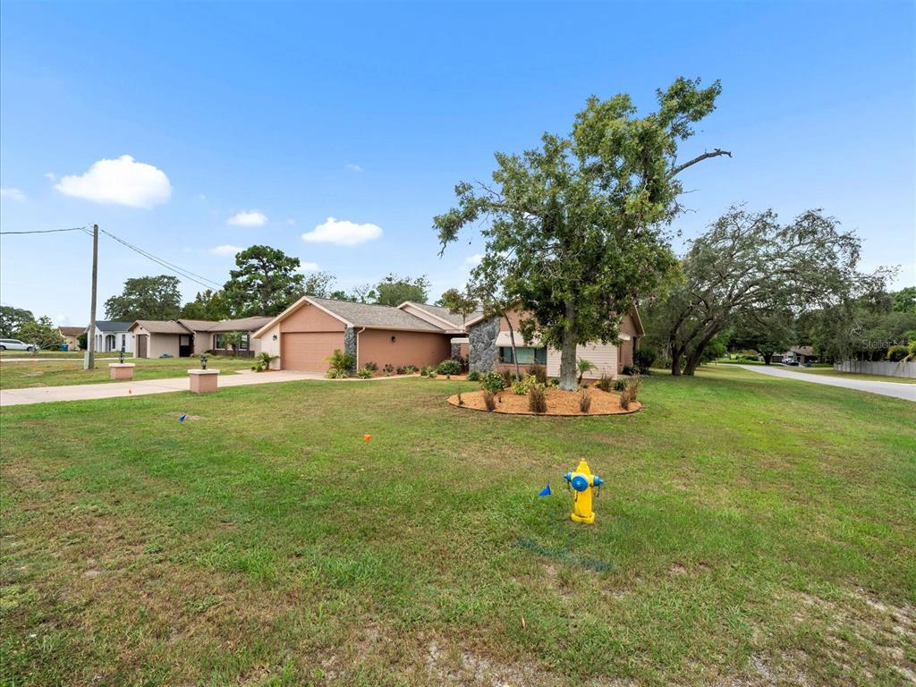 2097 Whitewood Avenue Spring Hill, FL 34609 - Photo 3 of 43