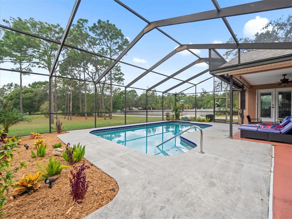 2097 Whitewood Avenue Spring Hill, FL 34609 - Photo 4 of 43