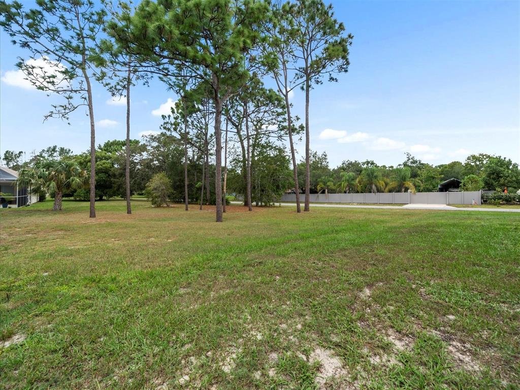 2097 Whitewood Avenue Spring Hill, FL 34609 - Photo 41 of 43