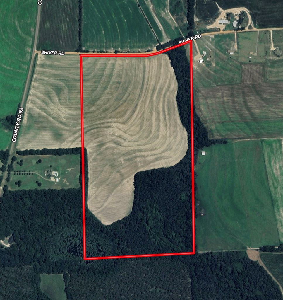 73-acres Shiver Road Daleville, AL 36322 - Photo 8 of 14