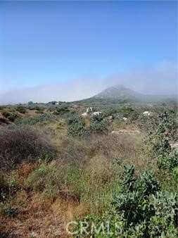 0 Lot 8 Scorpion Canyon Road Hemet, CA 92544 - Photo 5 of 5 a view of a city with lush green forest