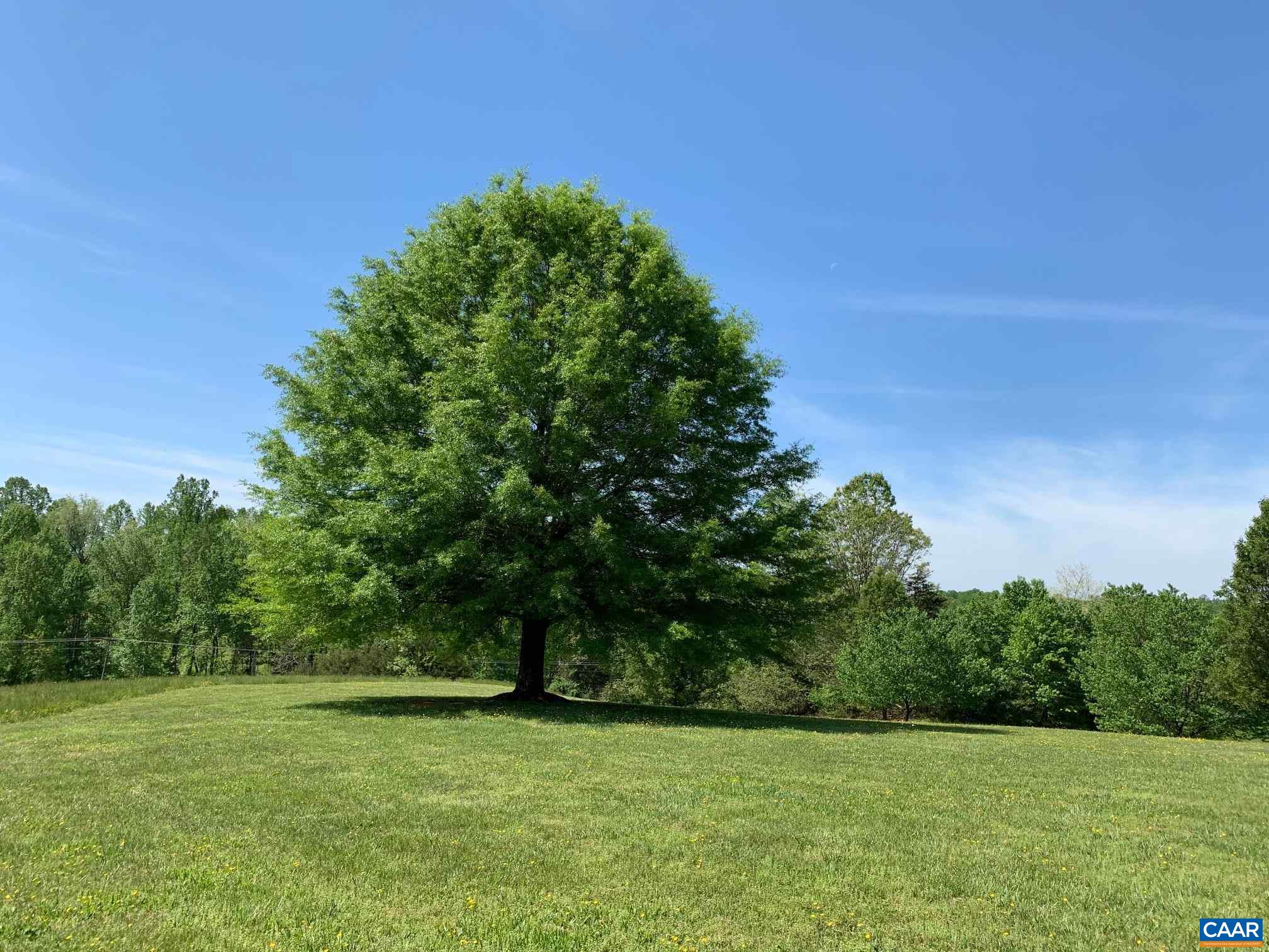 5305 Hoover Road Reva, VA 22735 - Photo 46 of 46 a view of a green field with trees in the background