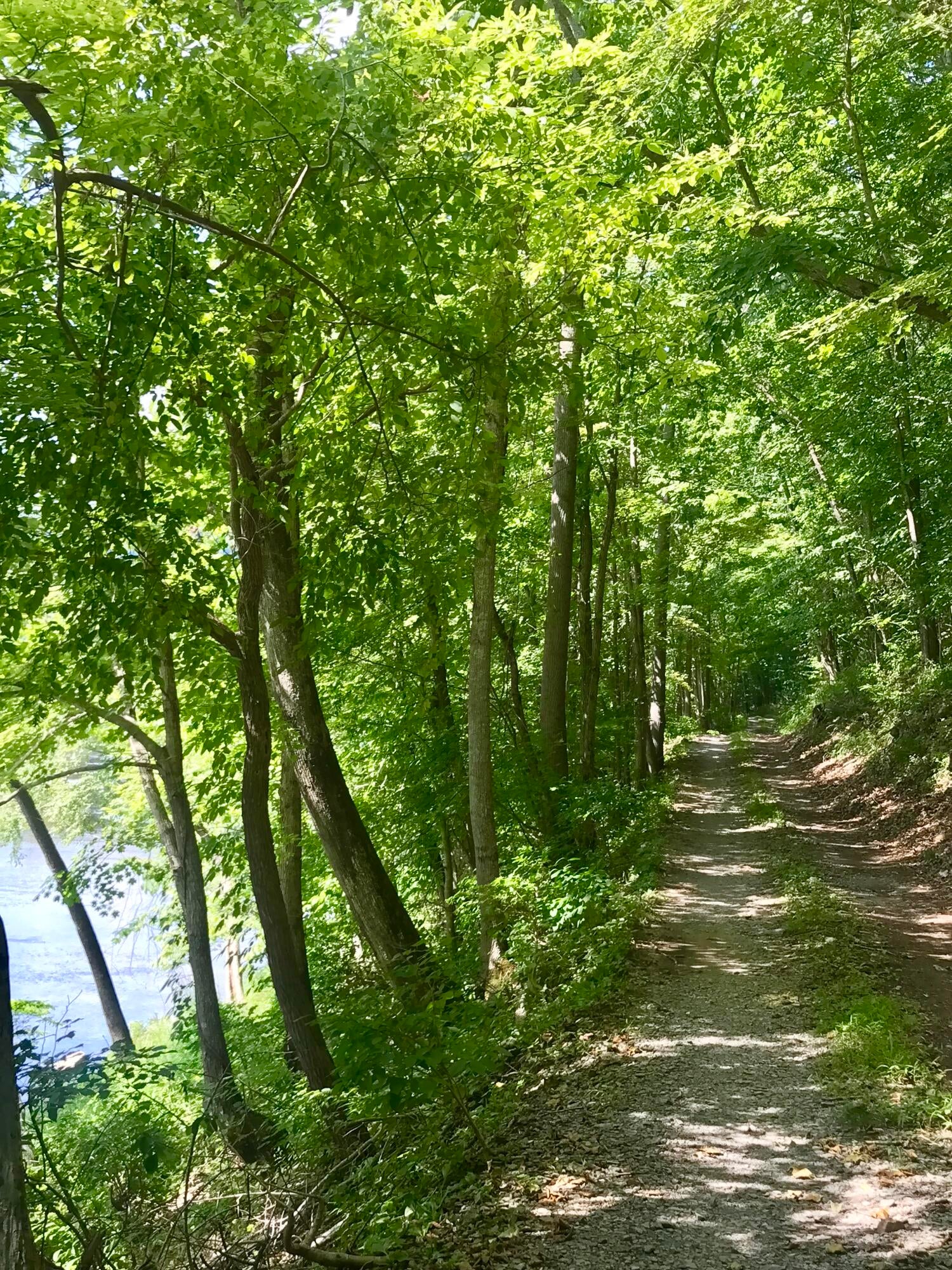 Red Rock Trail Ronceverte, WV 24970 - Photo 2 of 5 Gallery Image 2