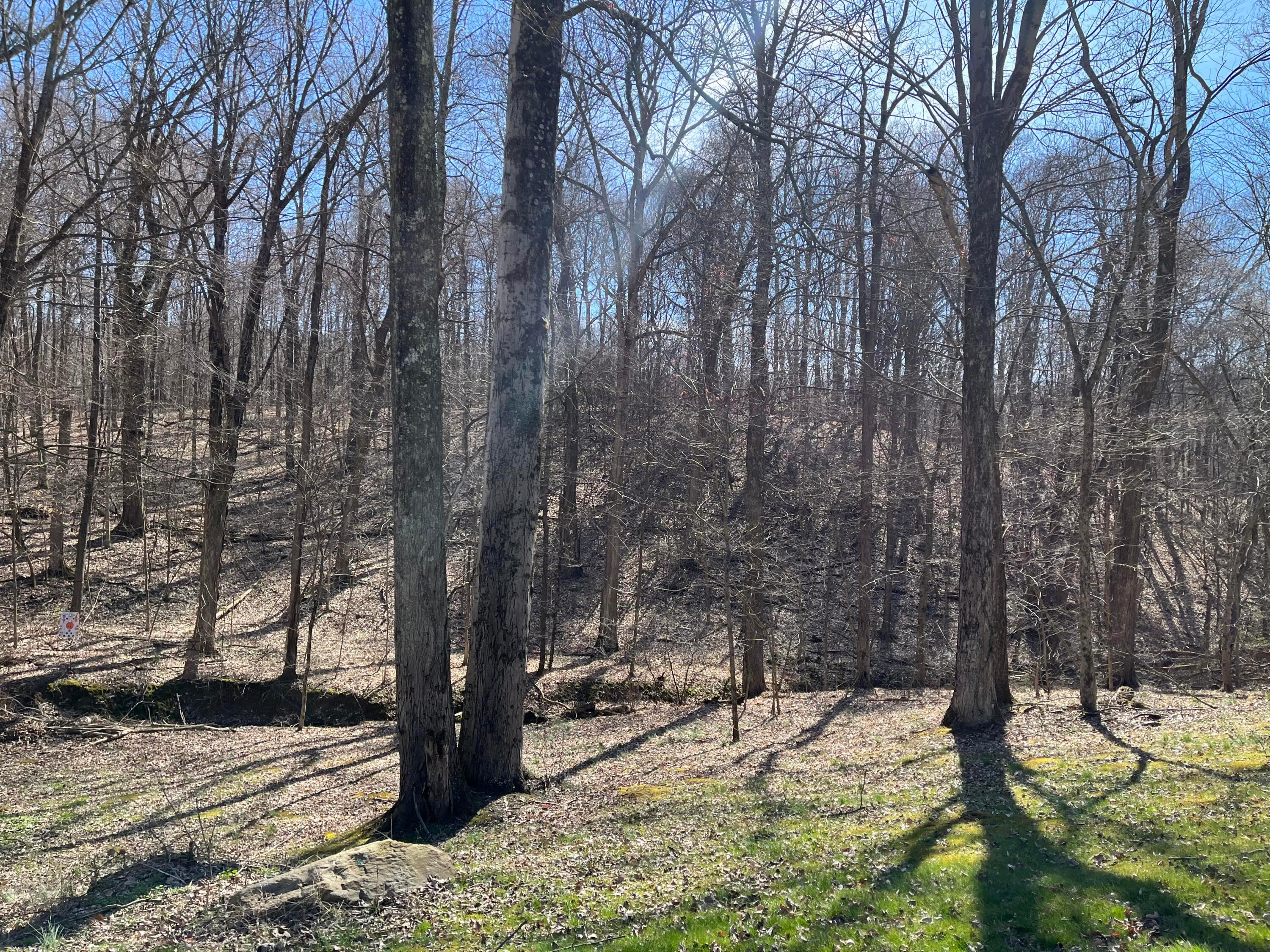 3301 Meister Road Southwest Lancaster, OH 43130 - Photo 16 of 49 wooded acreage