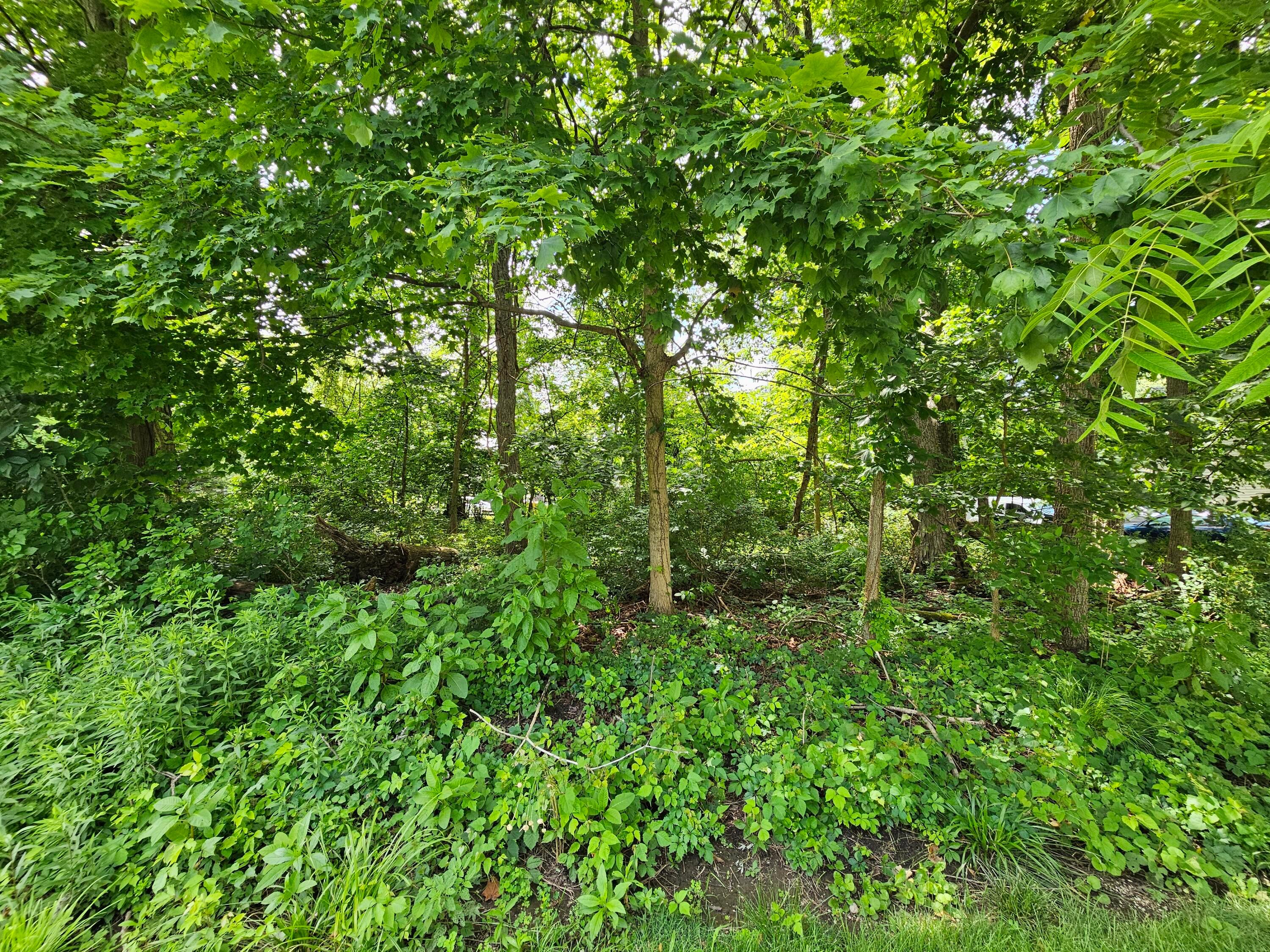 0 Beaver Road Northeast Thornville, OH 43076 - Photo 11 of 15