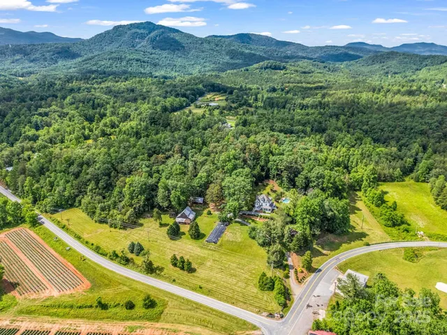a view of a yard with a swimming pool