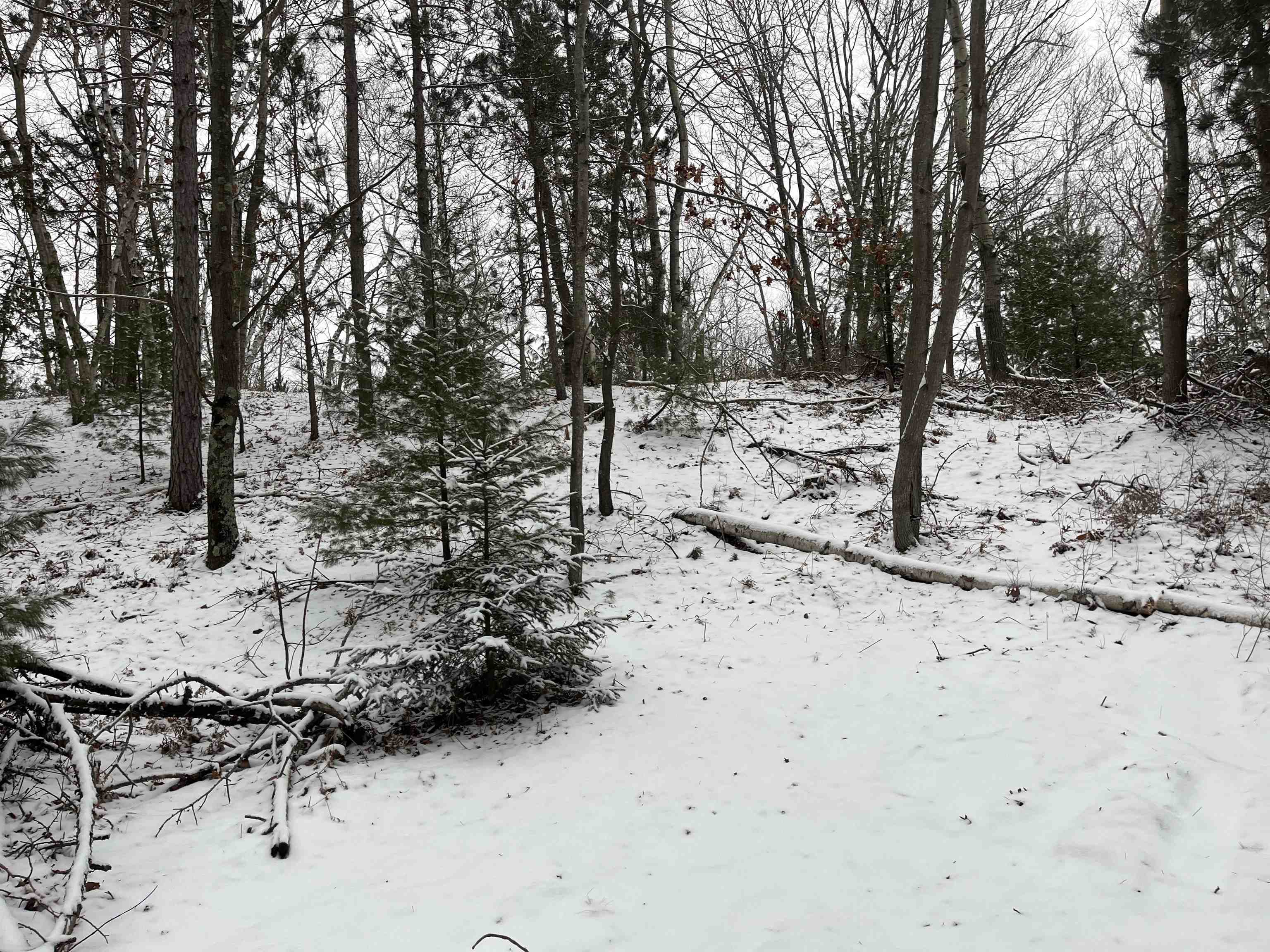 5311 Lakeshore Road Manistee, MI 49660 - Photo 7 of 37