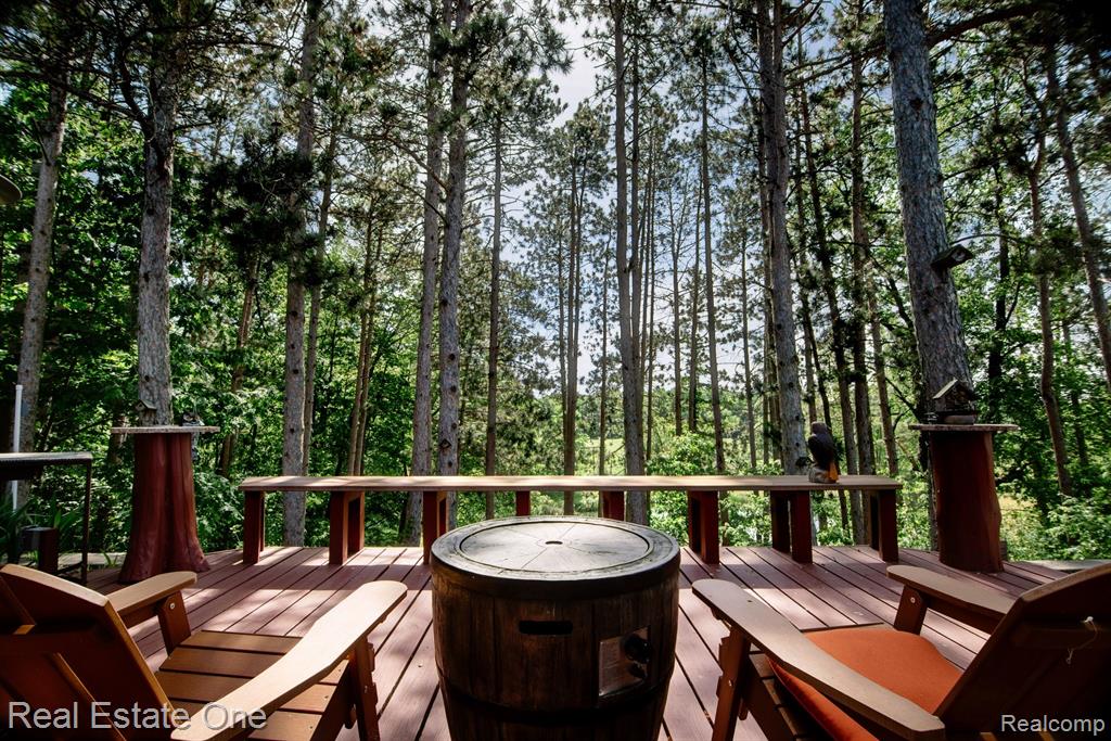 Undisclosed Address Howell, MI 48855 - Photo 63 of 74