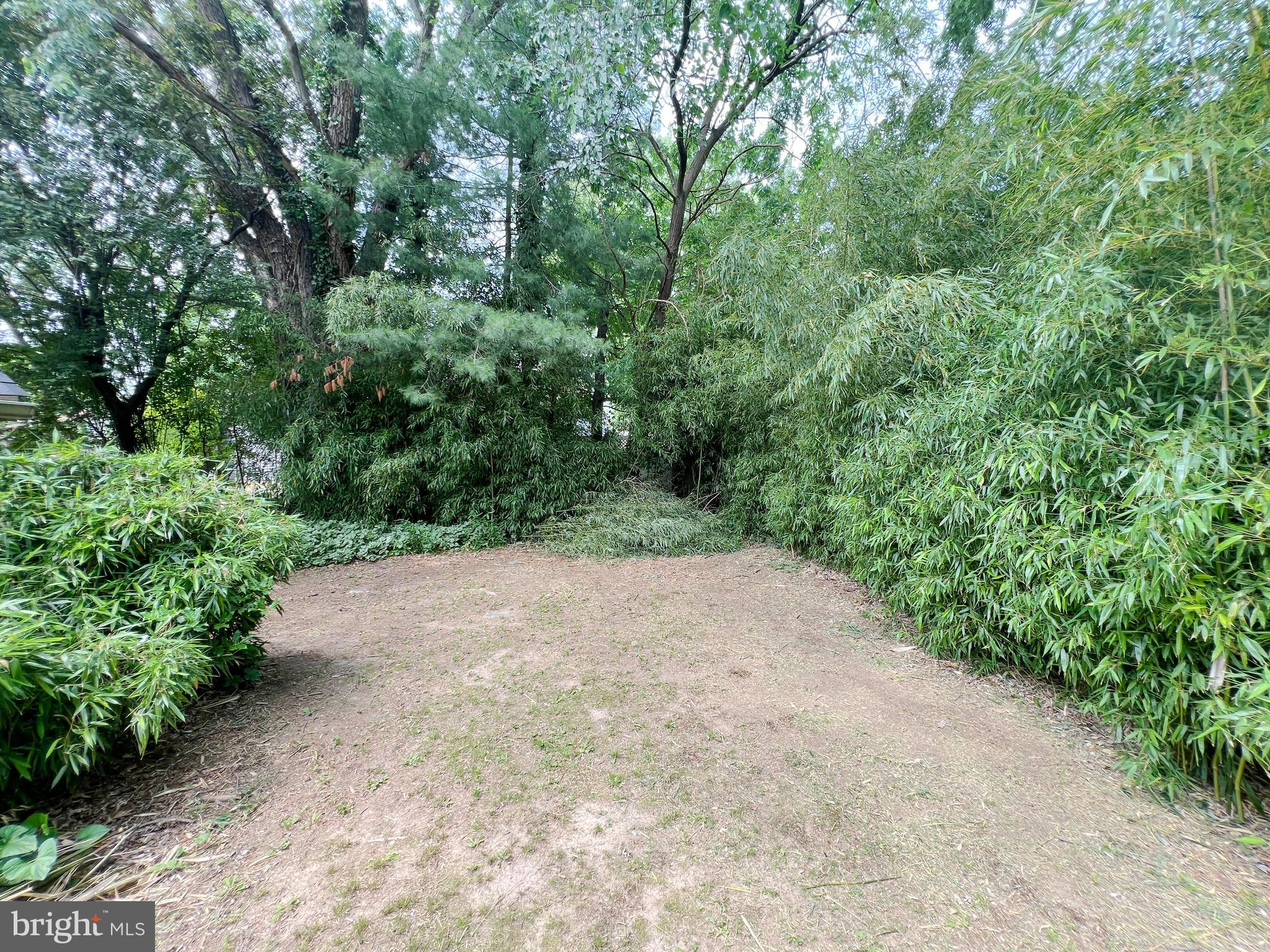 203 Spring Drive Voorhees, NJ 08043 - Photo 21 of 21 a view of a dirt pathway both side of green trees