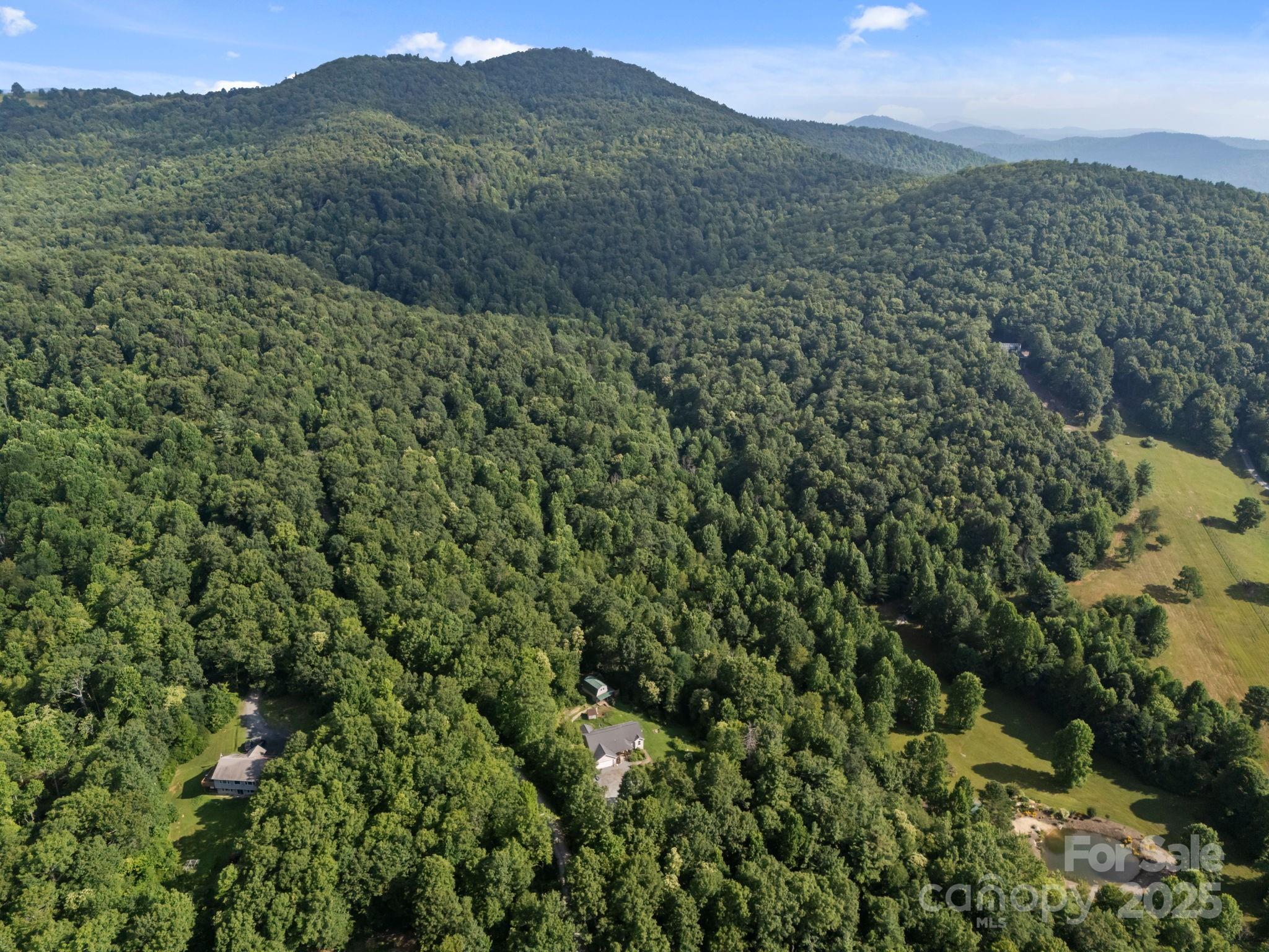 55 Pine Bluff Road Hendersonville, NC 28792 - Photo 39 of 47 a view of a lush green forest with a mountain