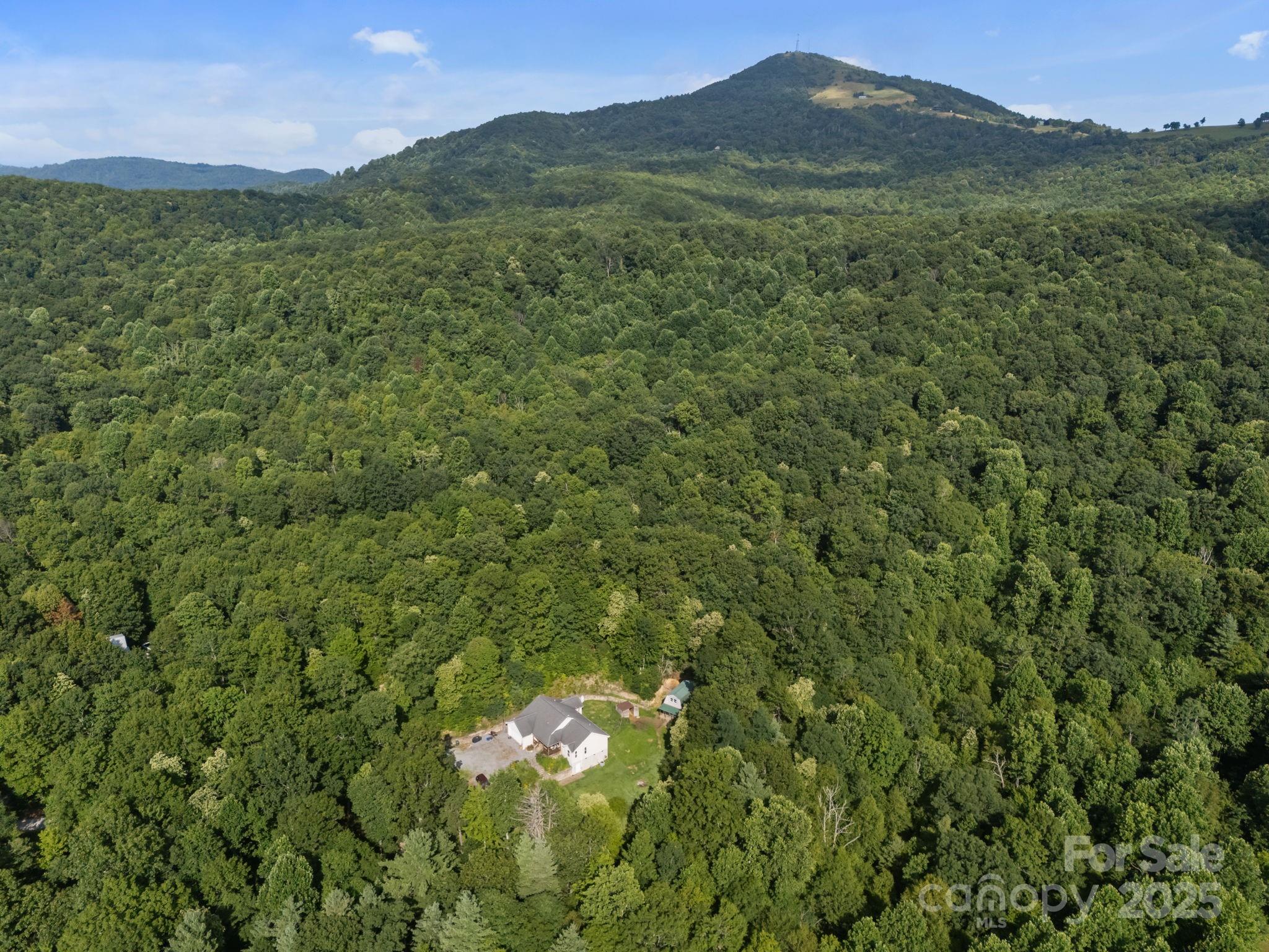 55 Pine Bluff Road Hendersonville, NC 28792 - Photo 40 of 47 a view of a lush green forest with a mountain