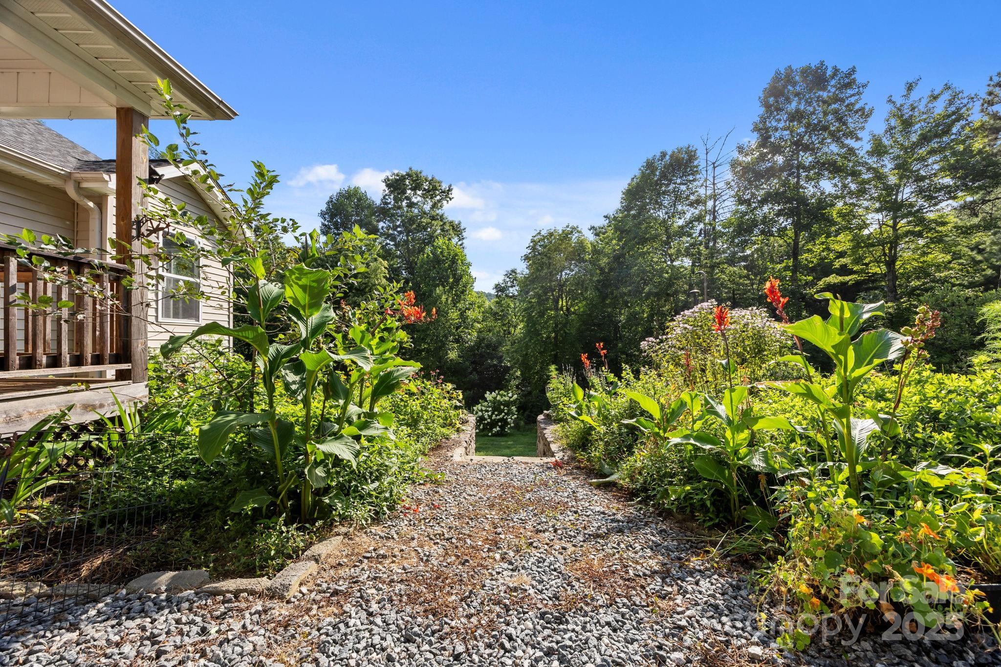 55 Pine Bluff Road Hendersonville, NC 28792 - Photo 46 of 47 a view of a garden with plants