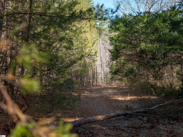 $475,000 | 0 Pittman Road, Landrum, SC 29356