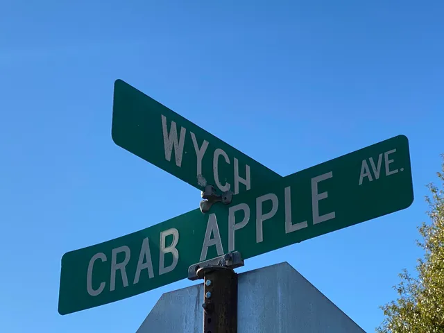 $299,000 | 402 Wych Circle, Crestview, FL 32536