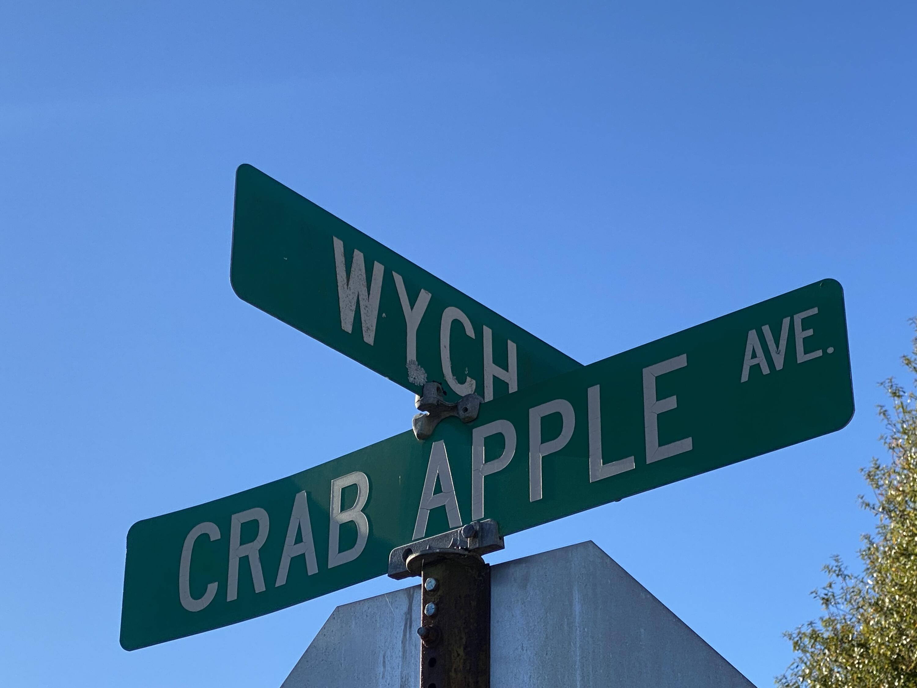 402 Wych Circle Crestview, FL 32536 - Photo 4 of 45 IMG_9321