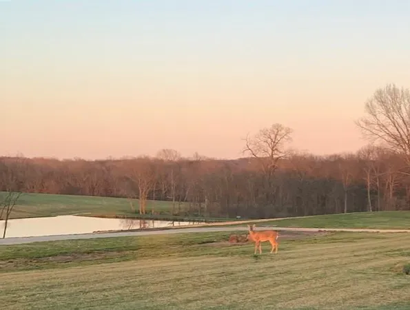 $699,000 | 160 Terrace Smithville Mo 64089, Smithville, MO 64089