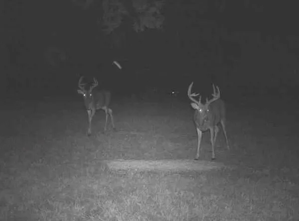 $699,000 | 160 Terrace Smithville Mo 64089, Smithville, MO 64089