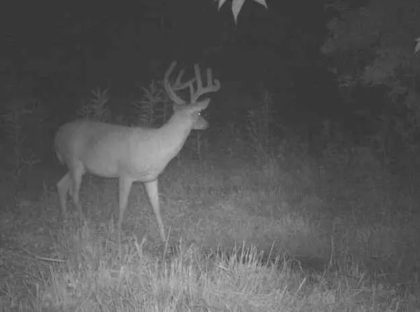 $699,000 | 160 Terrace Smithville Mo 64089, Smithville, MO 64089