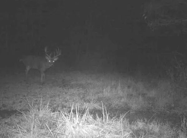 $699,000 | 160 Terrace Smithville Mo 64089, Smithville, MO 64089