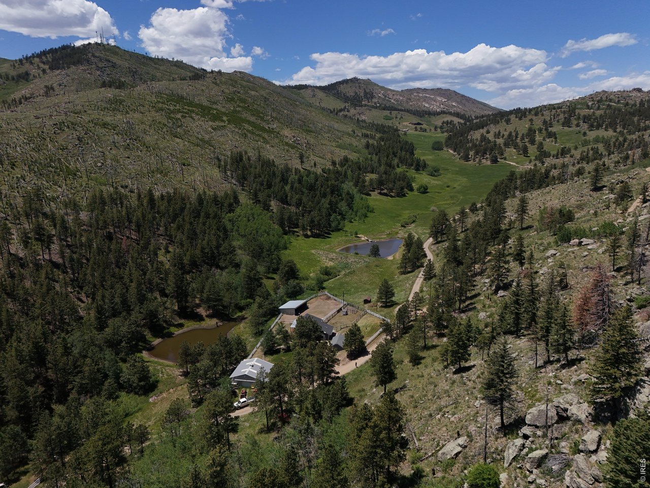 1154 Spring Valley Road Bellvue, CO 80512 - Photo 28 of 31 View of part of the property looking north toward Rist Canyon Road. Note: the pasture/meadow toward the north is not part of this property, but is the view from the home.