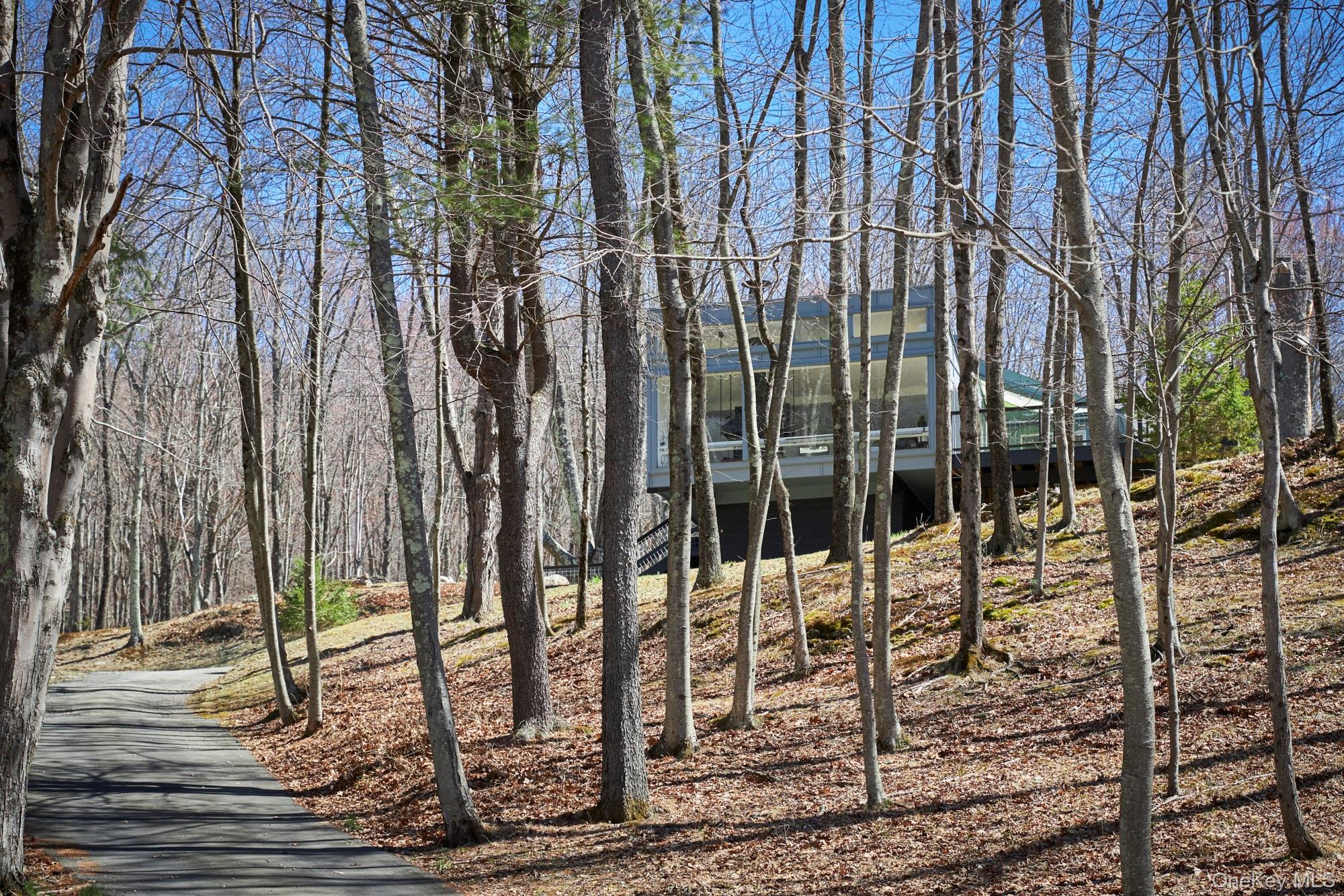 611 North Clove Road Millbrook, NY 12545 - Photo 2 of 38