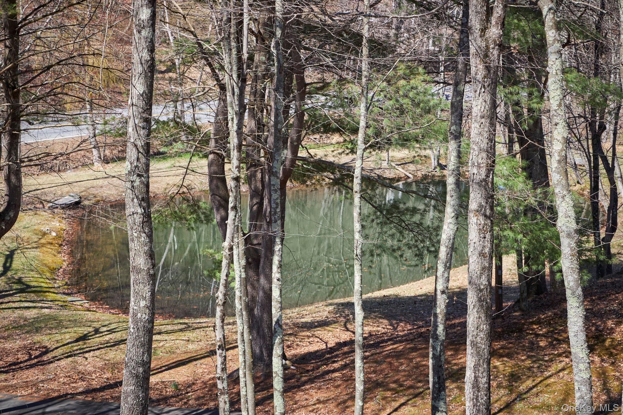 611 North Clove Road Millbrook, NY 12545 - Photo 3 of 38