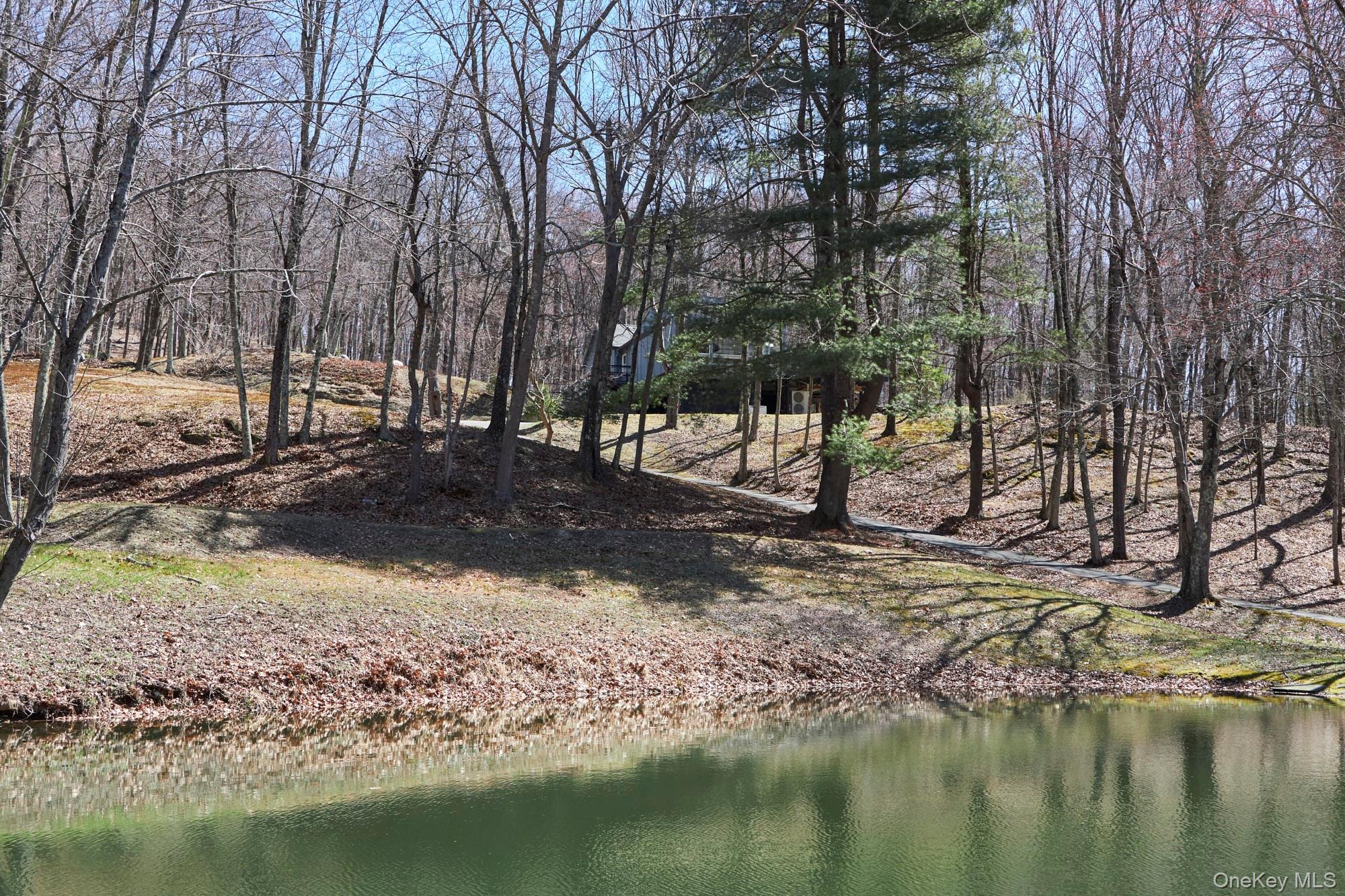 611 North Clove Road Millbrook, NY 12545 - Photo 37 of 38