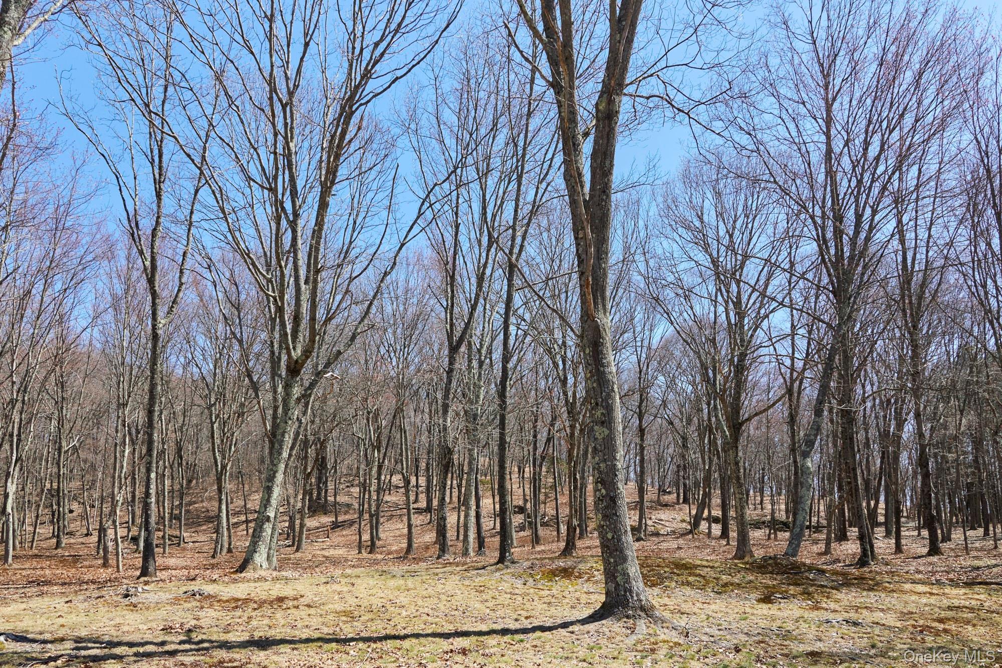 611 North Clove Road Millbrook, NY 12545 - Photo 38 of 38