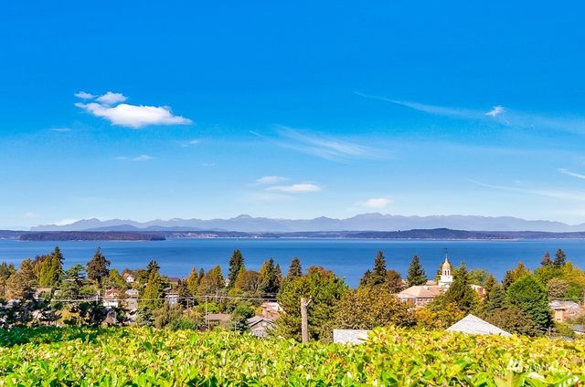 a view of a house with a yard and large trees