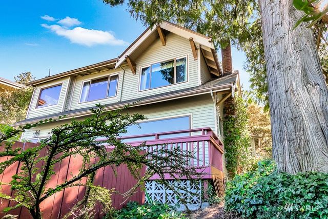 a view of a garden with plants