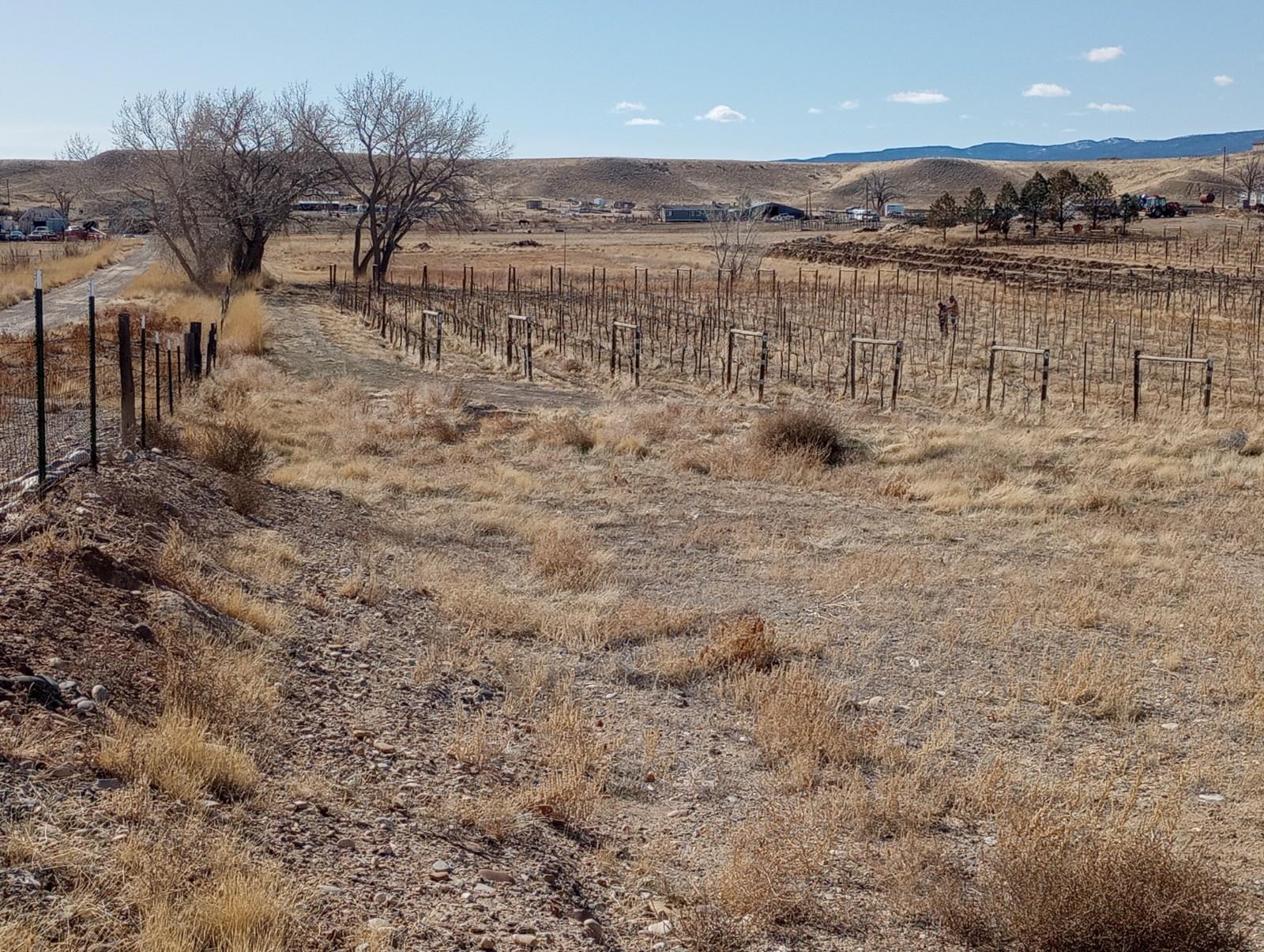 3107 A 1/2 Road Grand Junction, CO 81503 - Photo 14 of 15