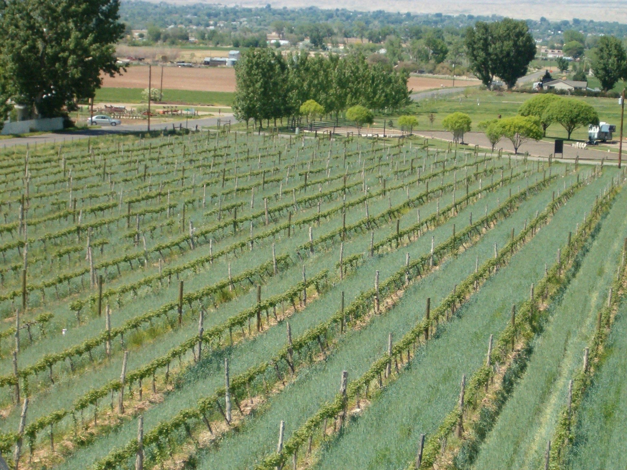 3107 A 1/2 Road Grand Junction, CO 81503 - Photo 3 of 15