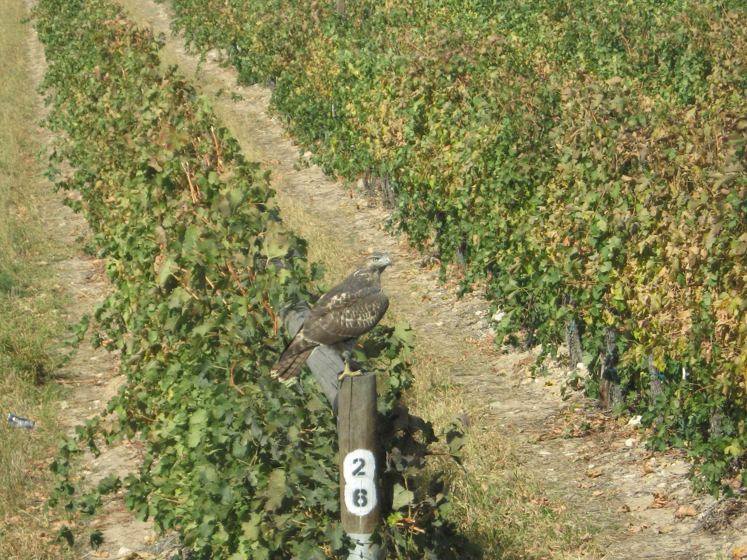 3107 A 1/2 Road Grand Junction, CO 81503 - Photo 5 of 15