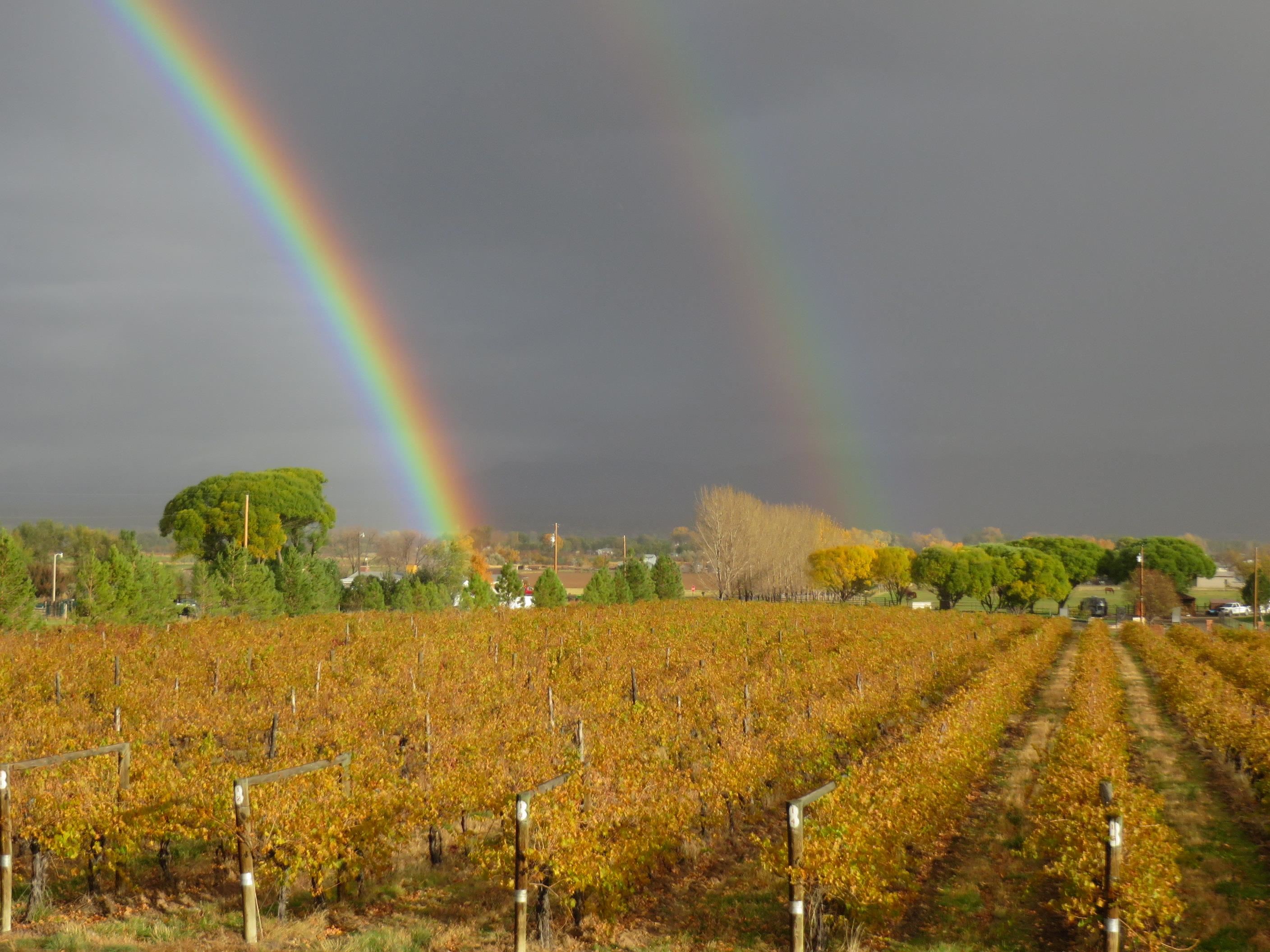 3107 A 1/2 Road Grand Junction, CO 81503 - Photo 6 of 15