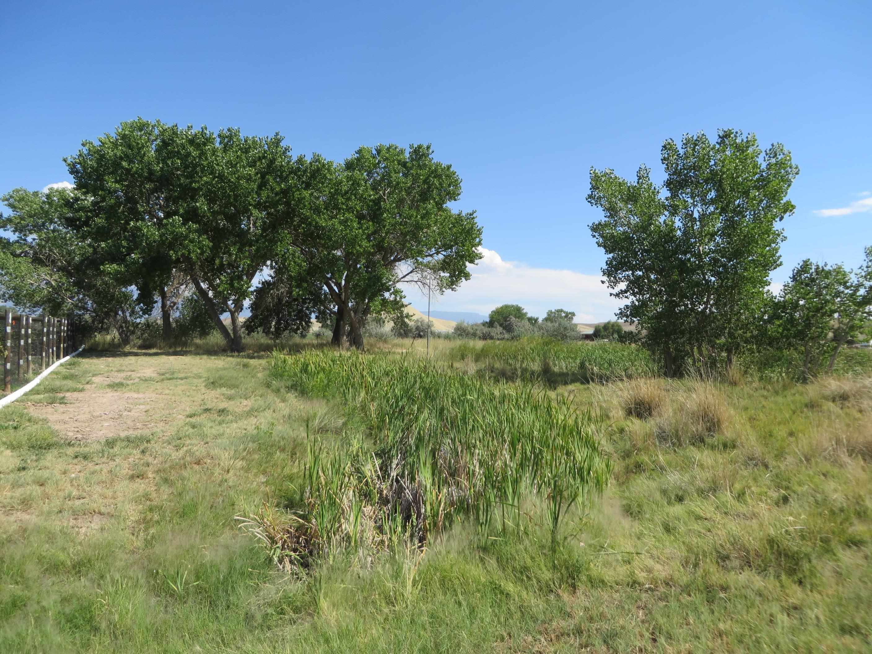 3107 A 1/2 Road Grand Junction, CO 81503 - Photo 7 of 15