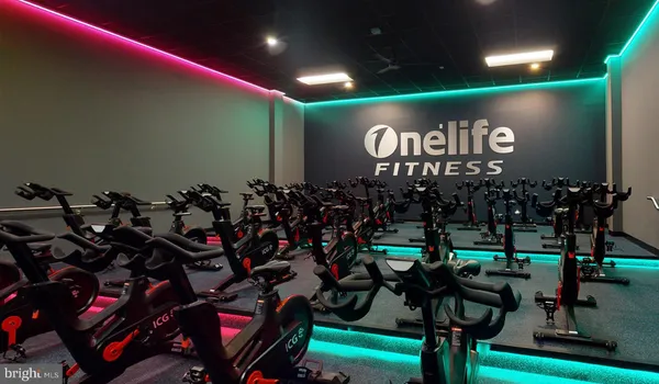 a view of a bunch of fruits