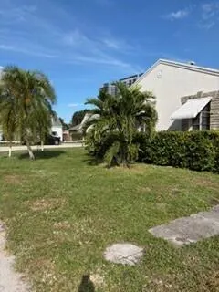 a view of a big yard