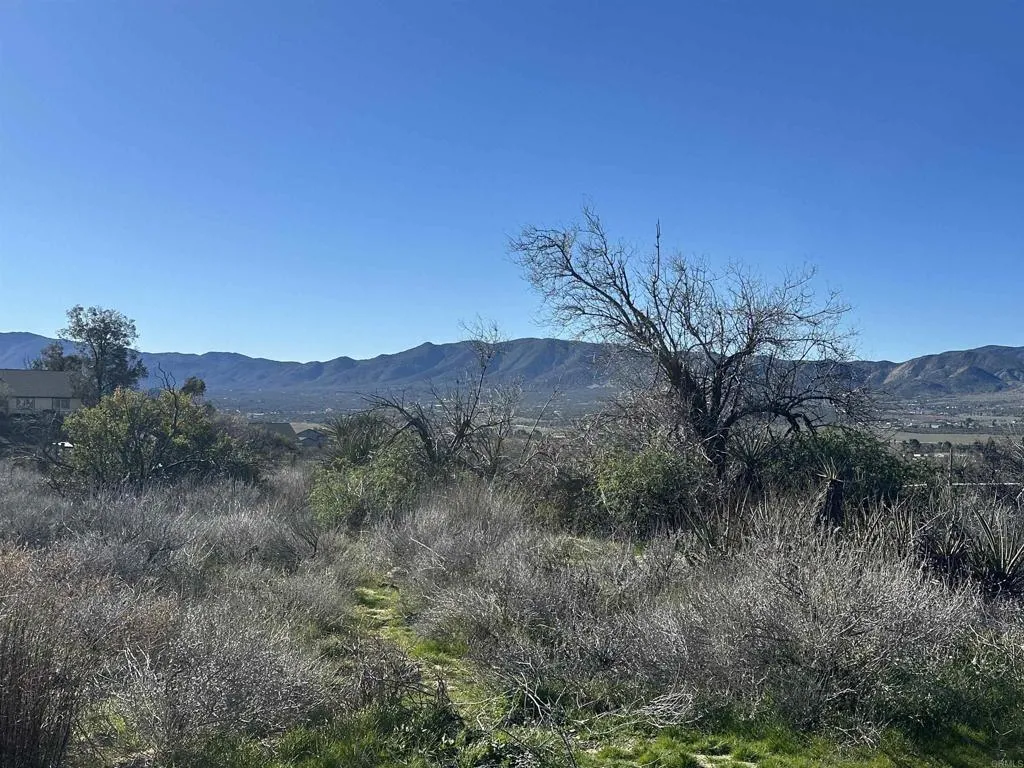 0 Rincon-Ridge Ridge Anza, CA 92539 - Photo 3 of 6 Gallery Image 3