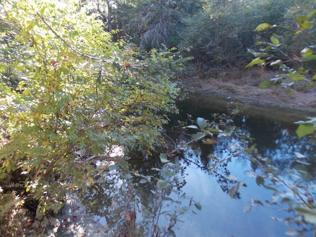 134 Skidmore Road North Anson, ME 04958 - Photo 12 of 14 Photo